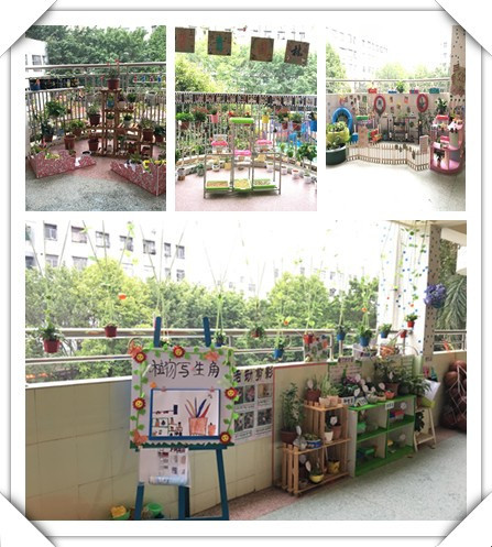 春暖花開，綠樹成蔭——遠(yuǎn)恒佳公明第二幼兒園自然觀察角大比拼