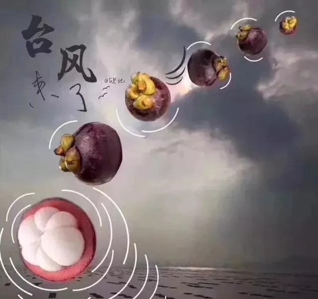 臺風(fēng)無情人有情，應(yīng)對臺風(fēng)“山竹”，我們團結(jié)一心。