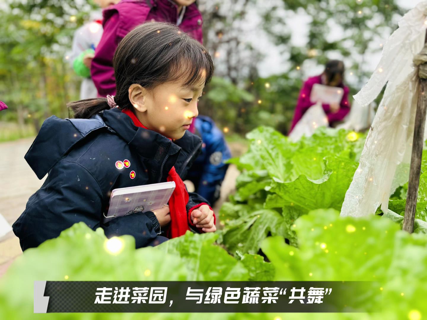 美好學(xué)校|留校時光，走出教室，與綠色蔬菜共舞