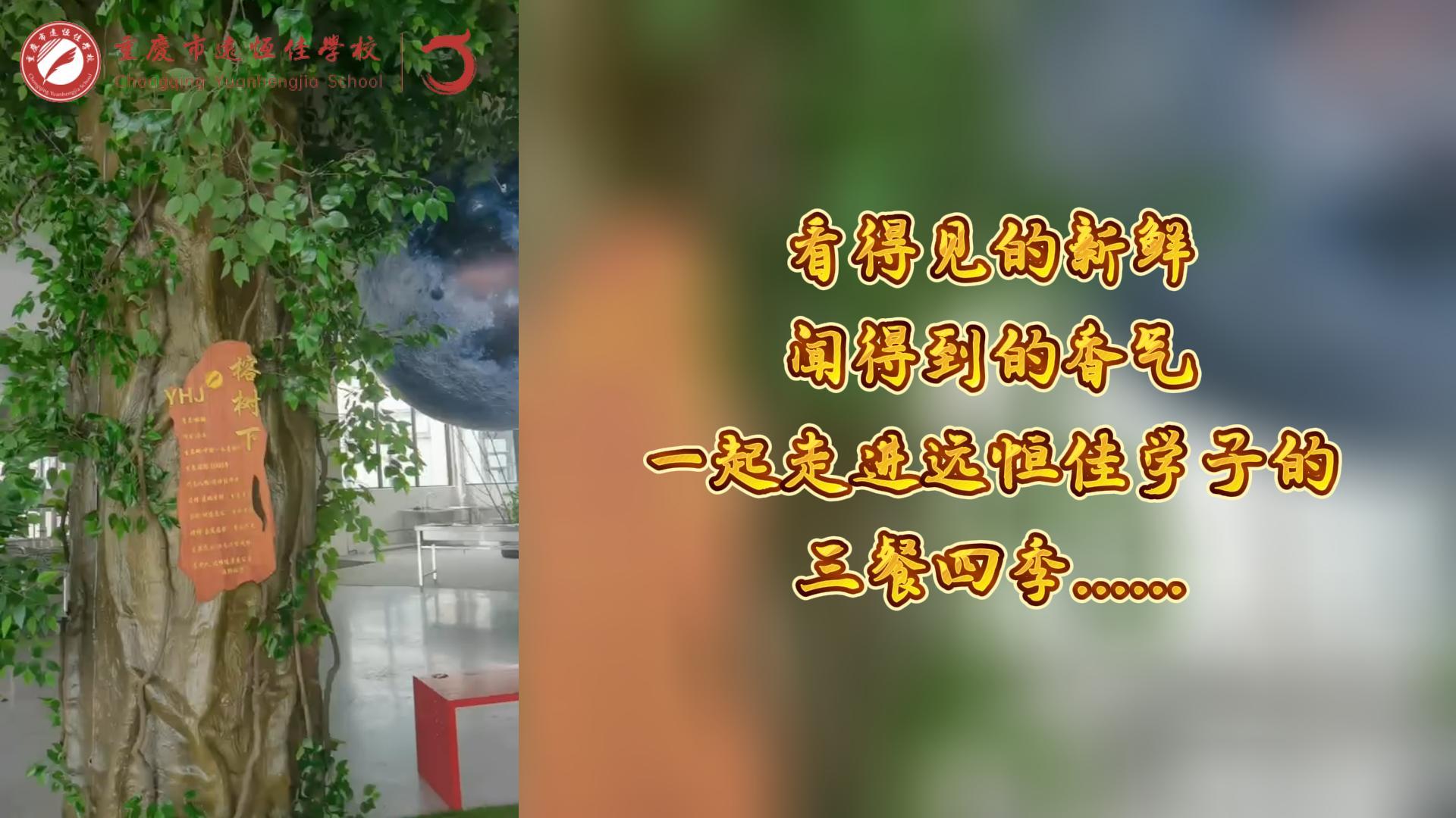 美好學(xué)校|看得見的新鮮，聞得到的香味，一起走進(jìn)遠(yuǎn)恒佳學(xué)子的三餐四季!